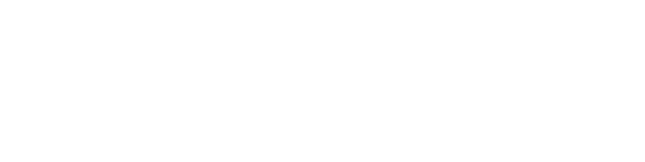wizishop-v2